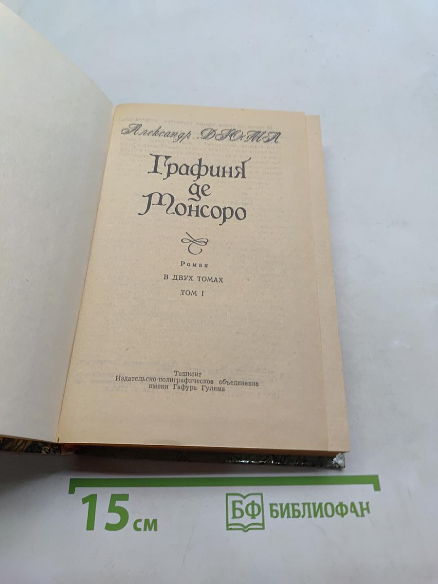 Графиня де Монсоро. Том I