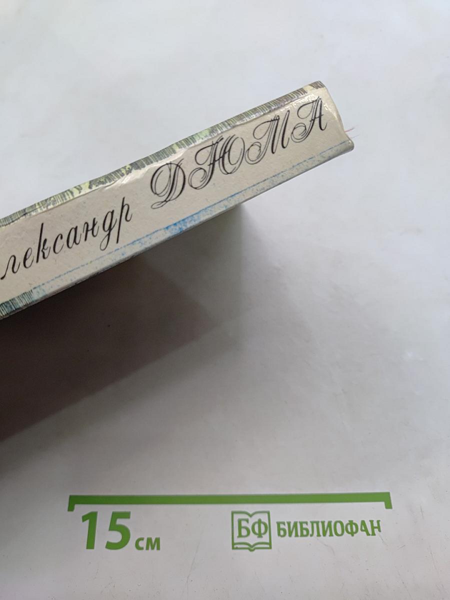 Графиня де Монсоро. Том I