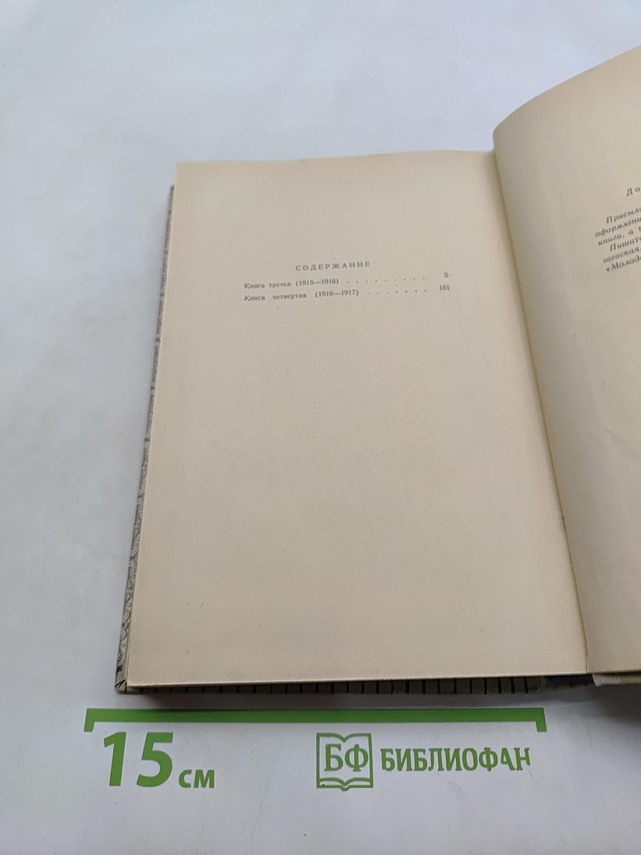 У излучин истории. Книги третья и четвертая