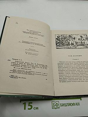 Дубровский