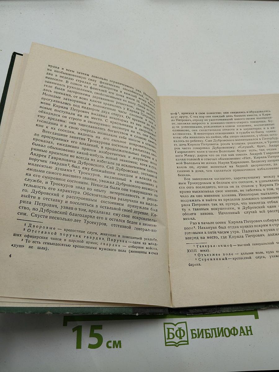 Дубровский