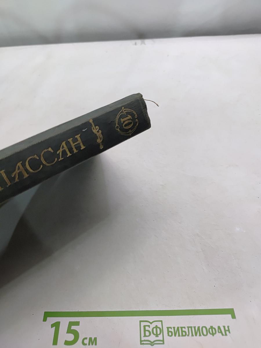 Полное собрание сочинений. Том 10. Под солнцем на воде. Бродячая жизнь