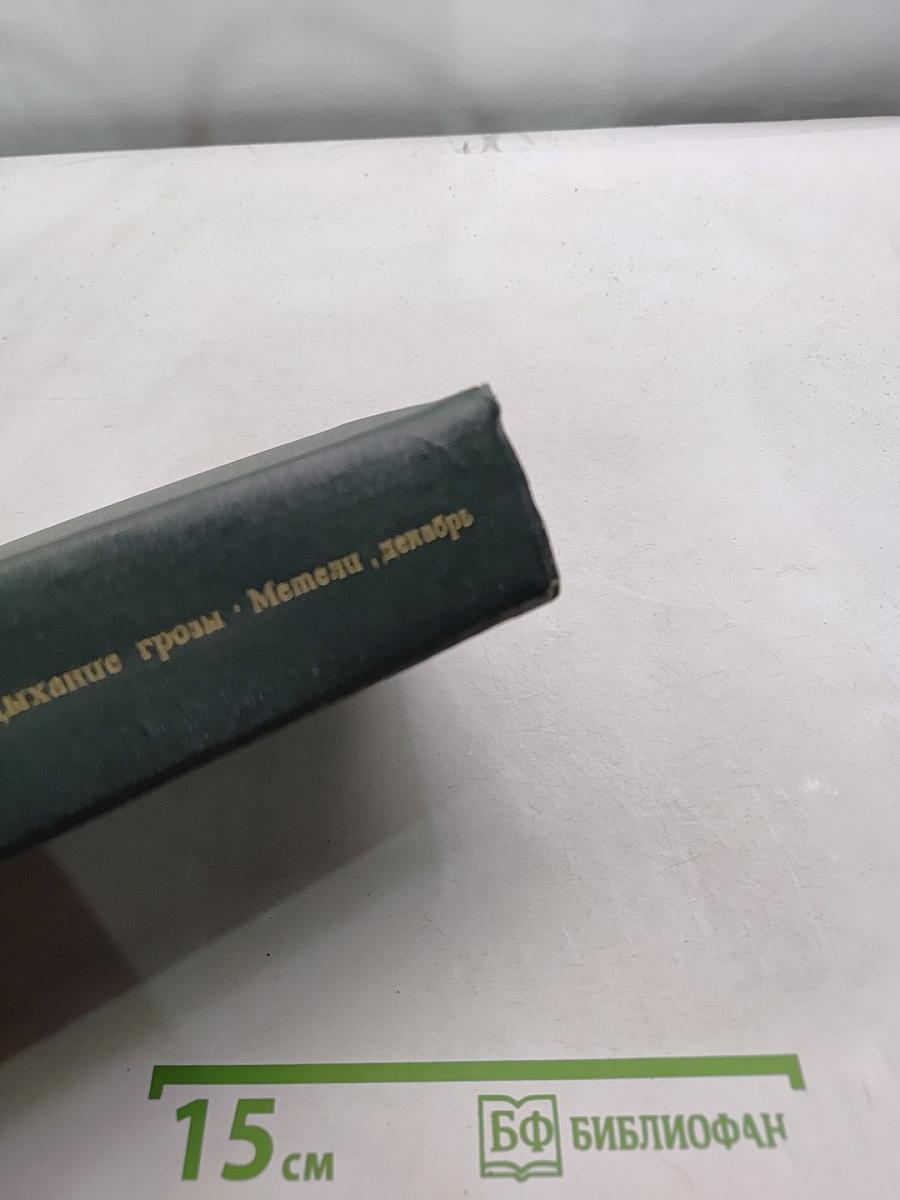 Дыхание грозы. Метели, декабрь. Романы из Полесской хроники