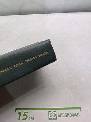 Дыхание грозы. Метели, декабрь. Романы из Полесской хроники