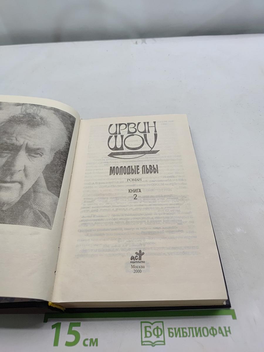 Молодые львы. Книга 2
