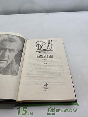 Молодые львы. Книга 2