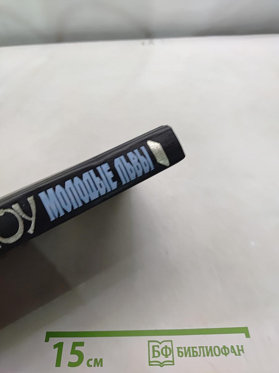 Молодые львы. Книга 2