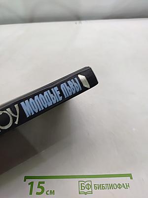 Молодые львы. Книга 2