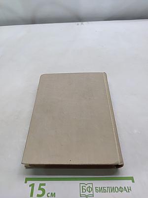 Конец главы. Книга вторая. Пустыня в цвету