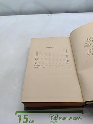 Дневник. Том 3. 1868-1877