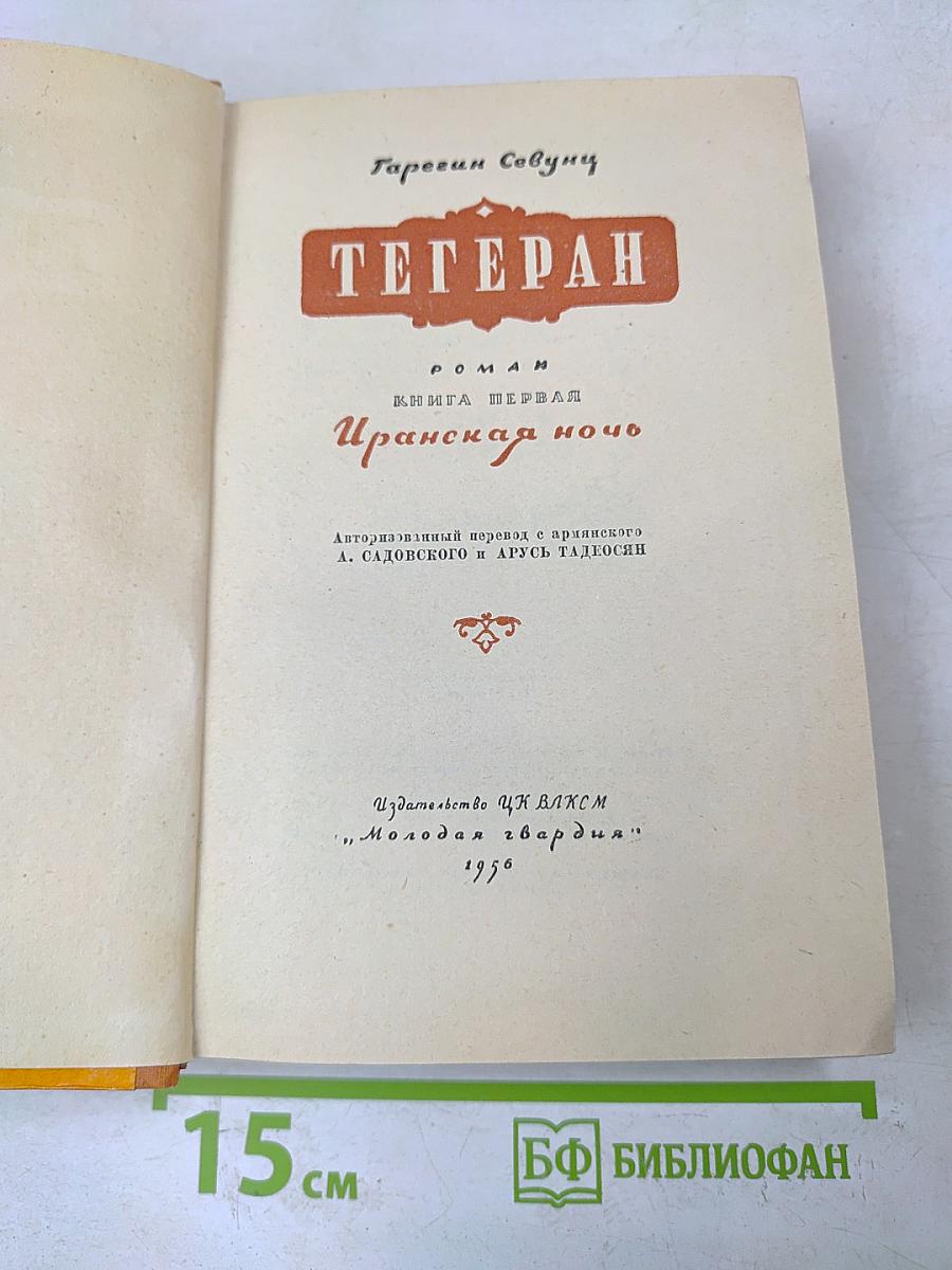 Тегеран. Книга первая. Иранская ночь