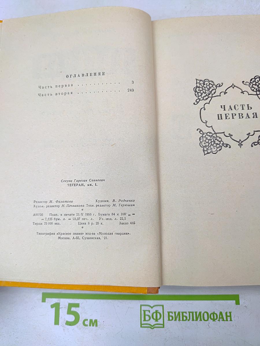 Тегеран. Книга первая. Иранская ночь