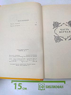 Тегеран. Книга первая. Иранская ночь