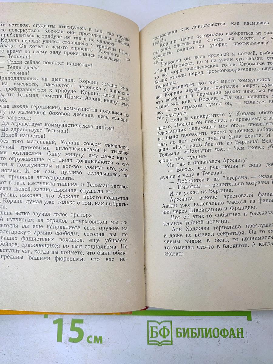 Тегеран. Книга первая. Иранская ночь