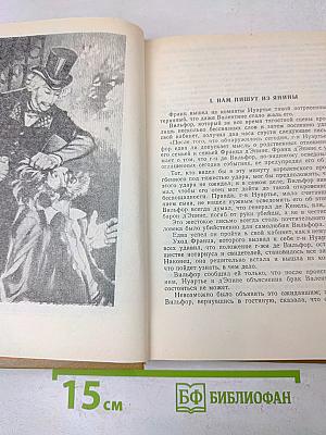 Граф Монте-Кристо. Роман в трех томах. Том третий