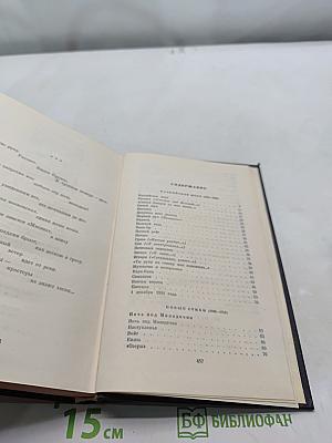 Стихотворения и поэмы. Том 2