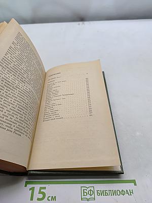 Избранное в двух томах. Том 2. Две жизни. Роман. Рассказы