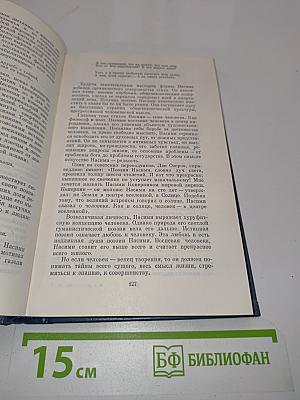 Собрание сочинений. Том шестой. Литературно-художественные очерки. Путевые заметки