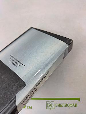 Русский орфографический словарь. Словарь для школьников с грамматическим приложением