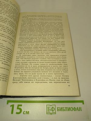 Странствующий подмастерье