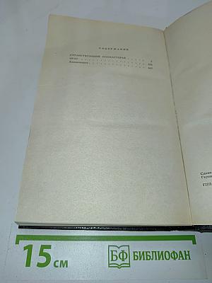 Странствующий подмастерье