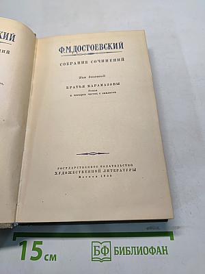 Братья Карамазовы. Роман в четырех частях с эпилогом. Том девятый