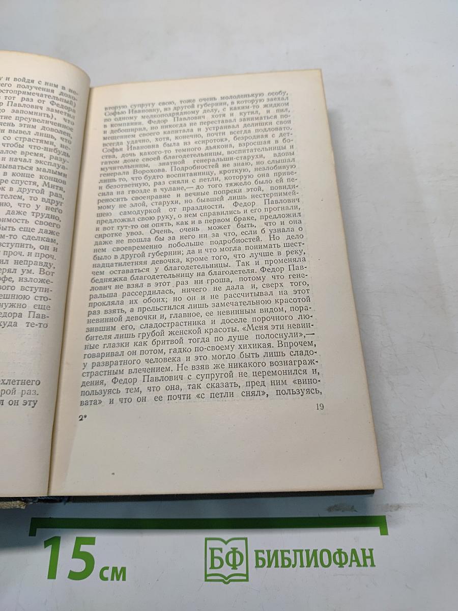 Братья Карамазовы. Роман в четырех частях с эпилогом. Том девятый