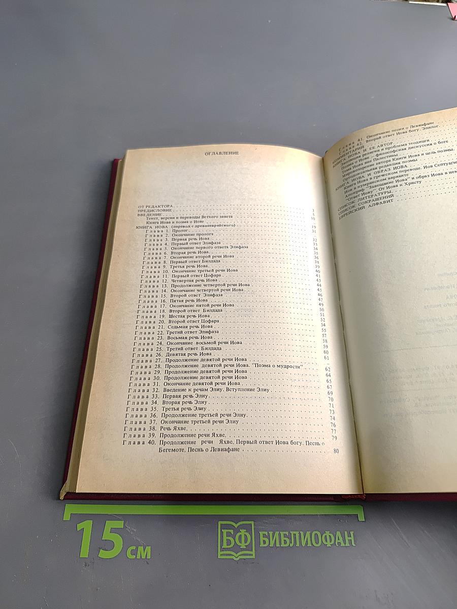 Книга Иова из истории библейского текста