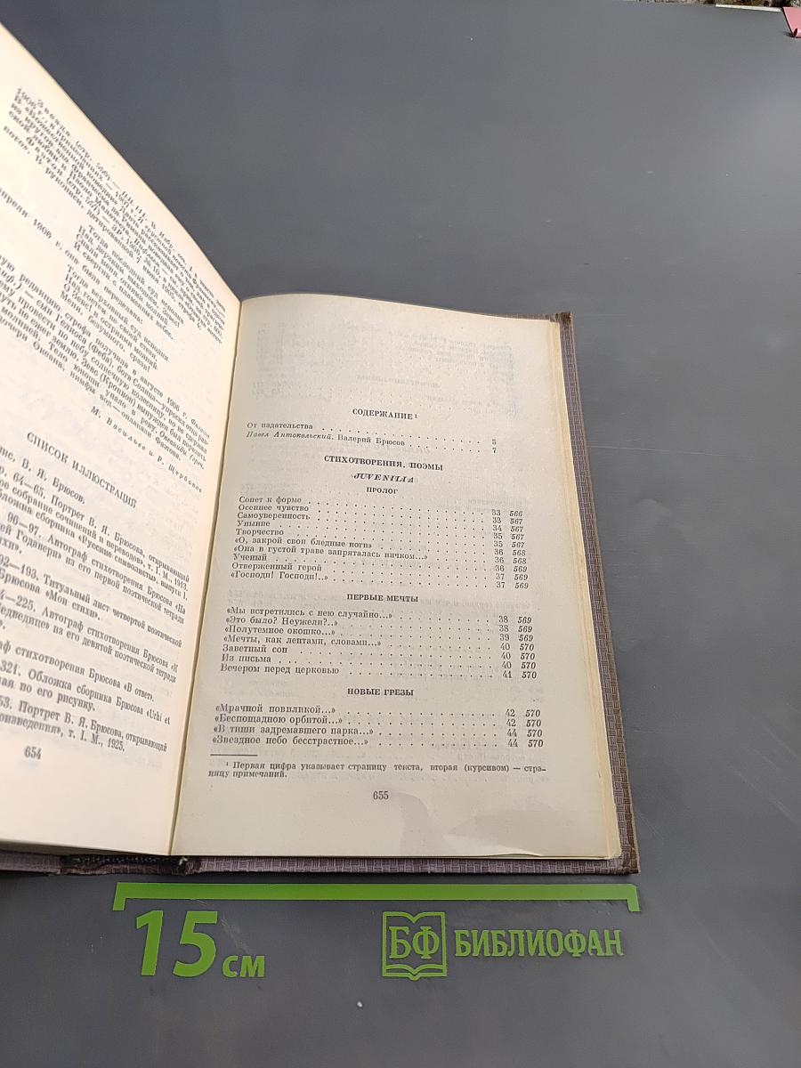 Собрание сочинений. Том первый. Стихотворения 1892-1909