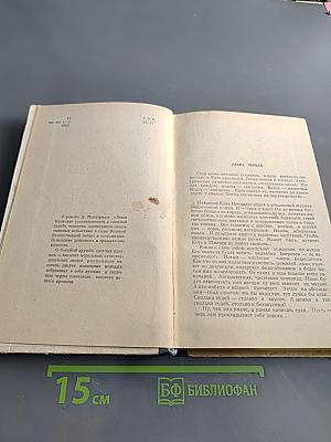 Леван Кахиани