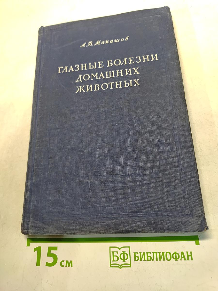 Глазные болезни домашних животных