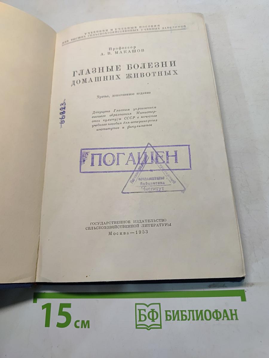 Глазные болезни домашних животных