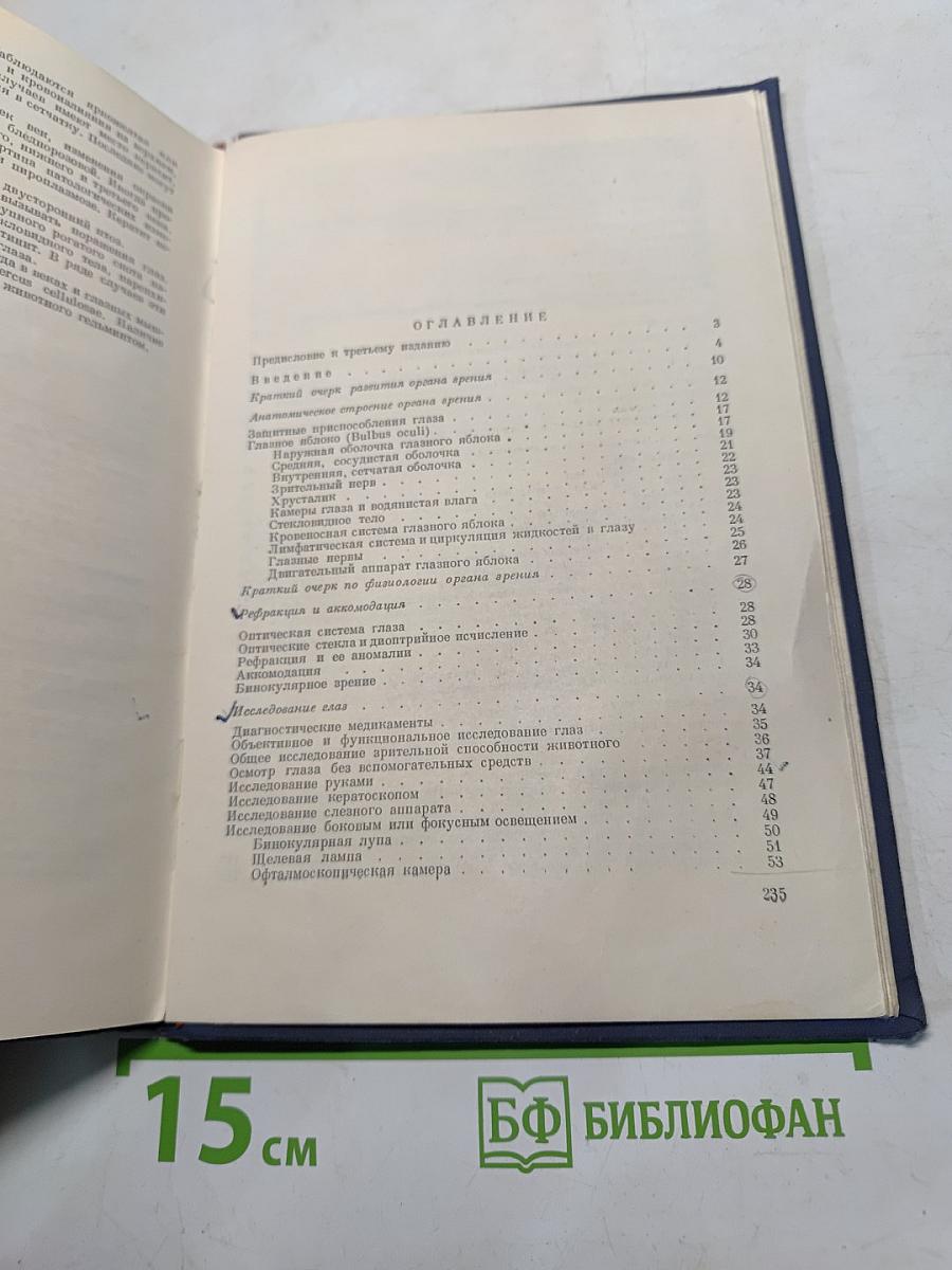 Глазные болезни домашних животных