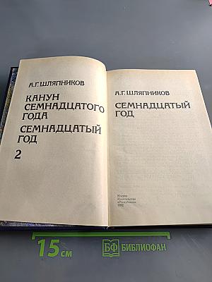 Канун семнадцатого года. Семнадцатый год. Т. 2