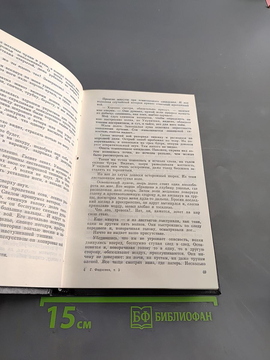 Федосеев. Собрание сочинений в трех томах. Том третий. Протопоп испытаний. Последний костер
