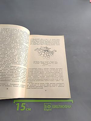 Антон де Бари