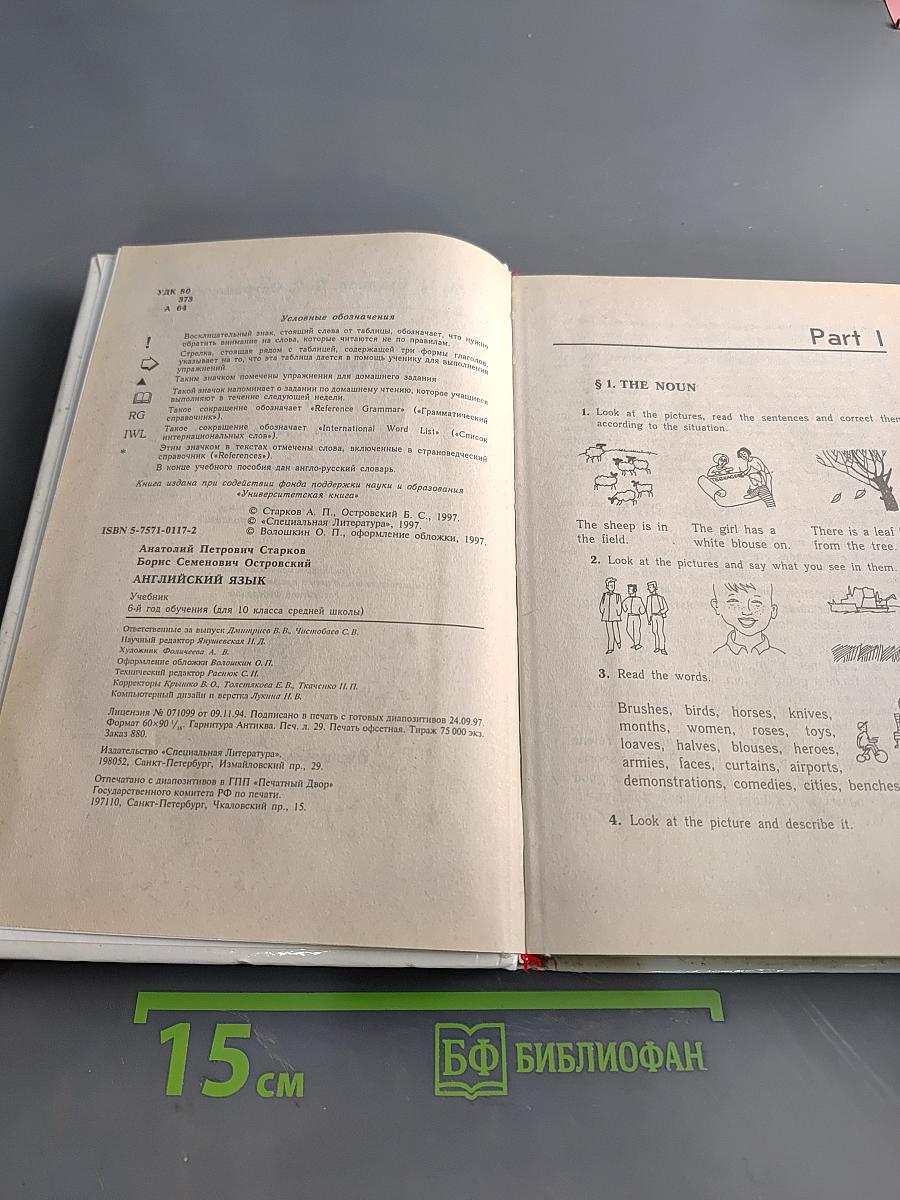 English 6th year