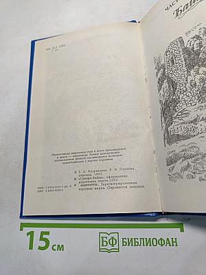 Скарлетт. Книга II