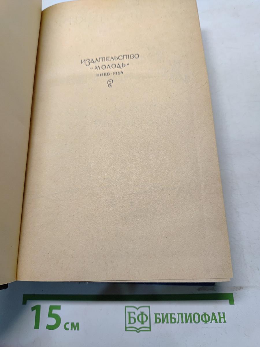 Богдан Хмельницкий. Перед бурей
