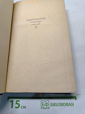 Богдан Хмельницкий. Перед бурей