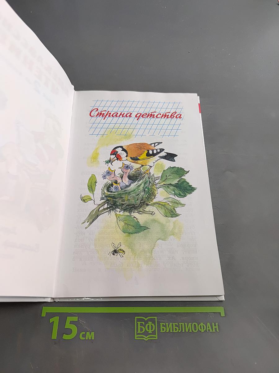 Внеклассное чтение. 2 класс