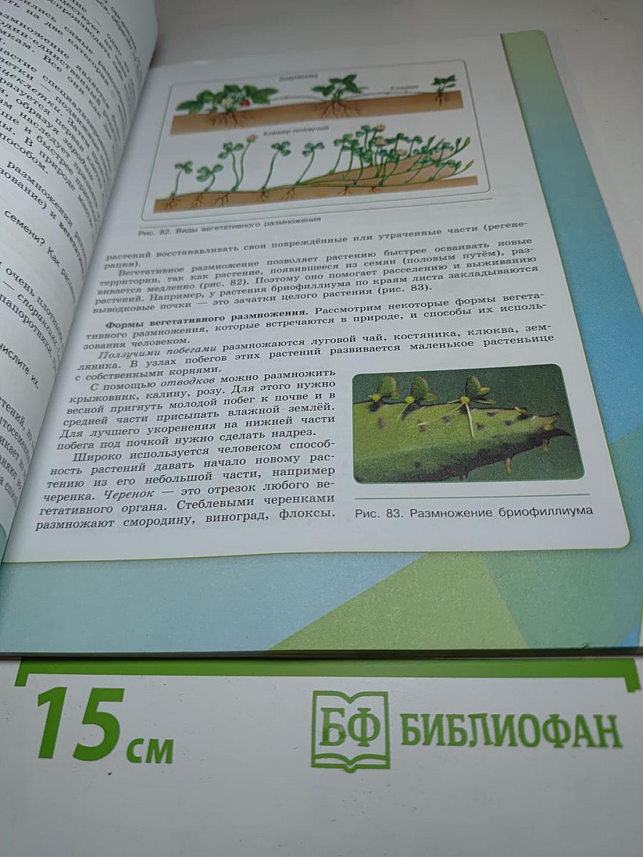 Биология 6 класс