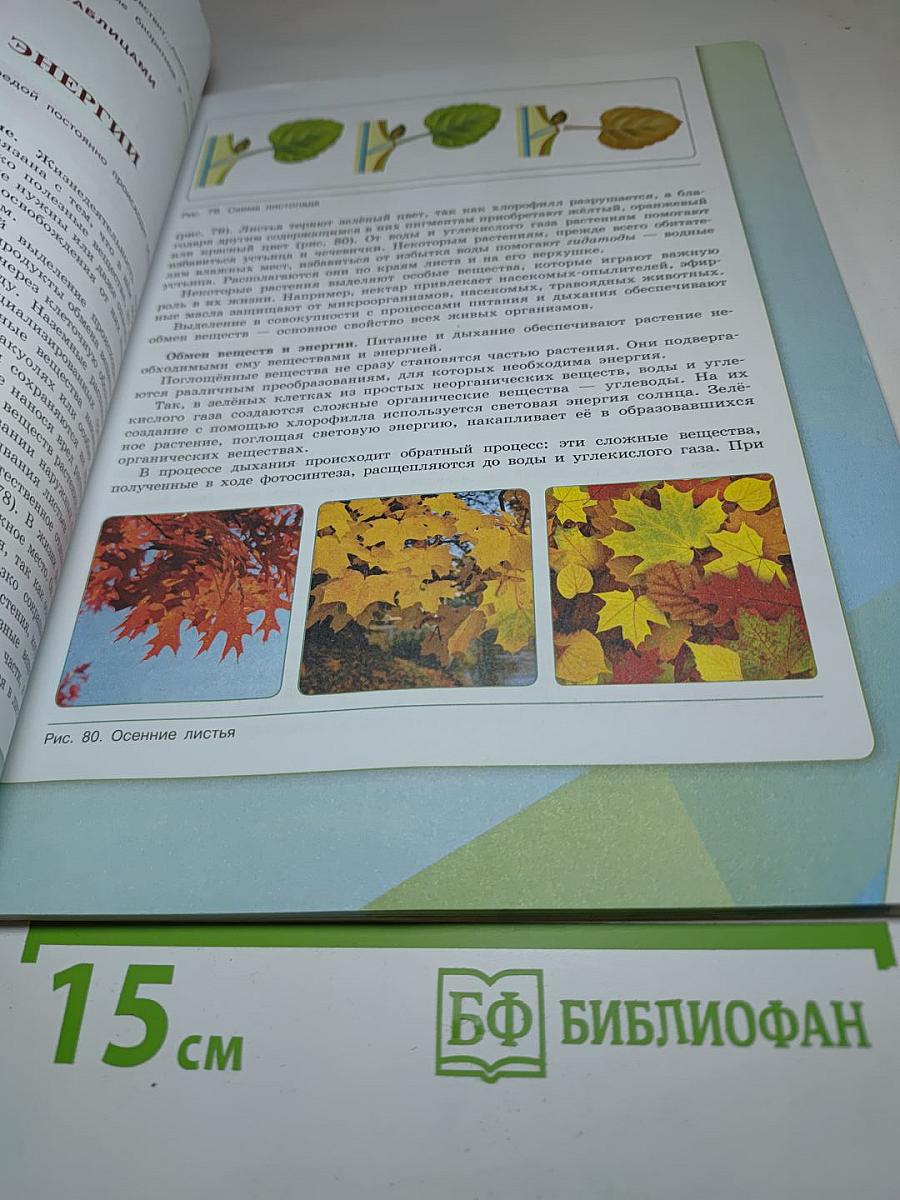 Биология 6 класс
