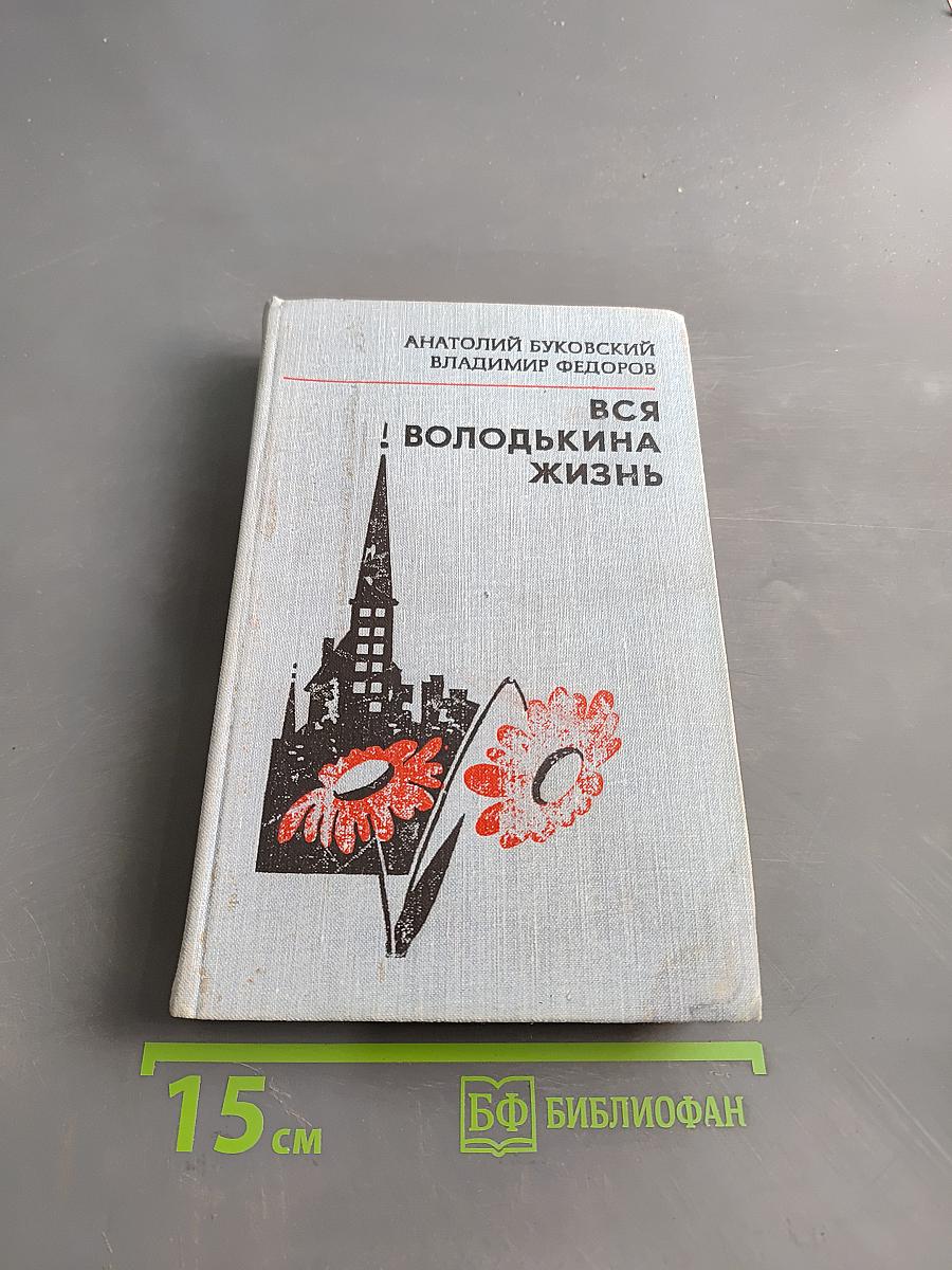 Вся Володькина жизнь