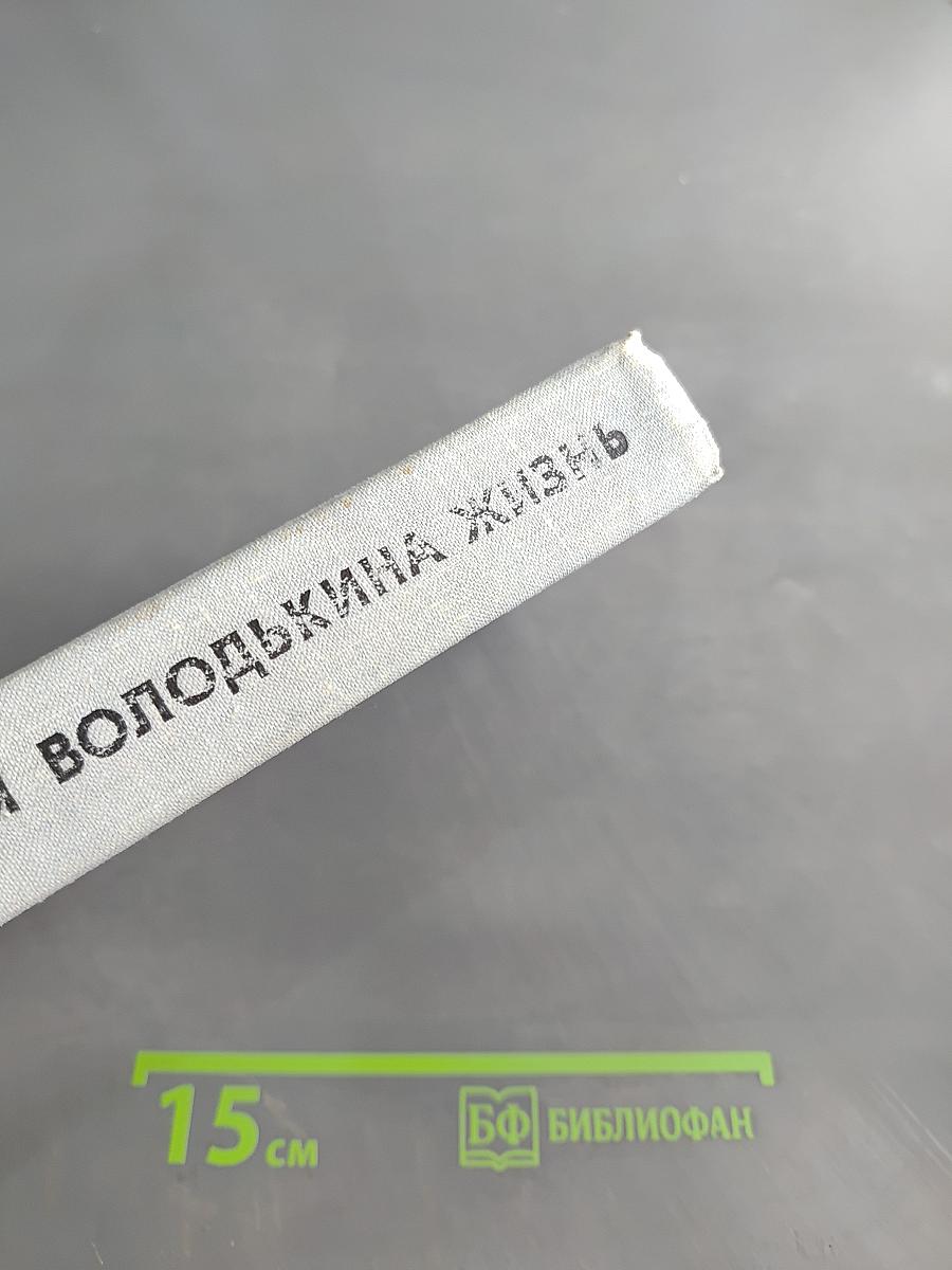 Вся Володькина жизнь