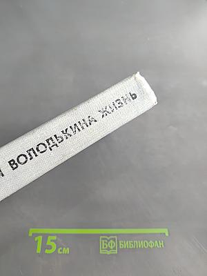 Вся Володькина жизнь