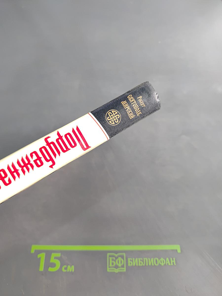 Порубежная война