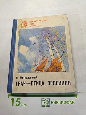 Грач — птица весенняя