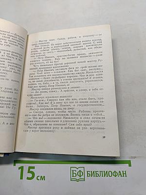 Грач — птица весенняя