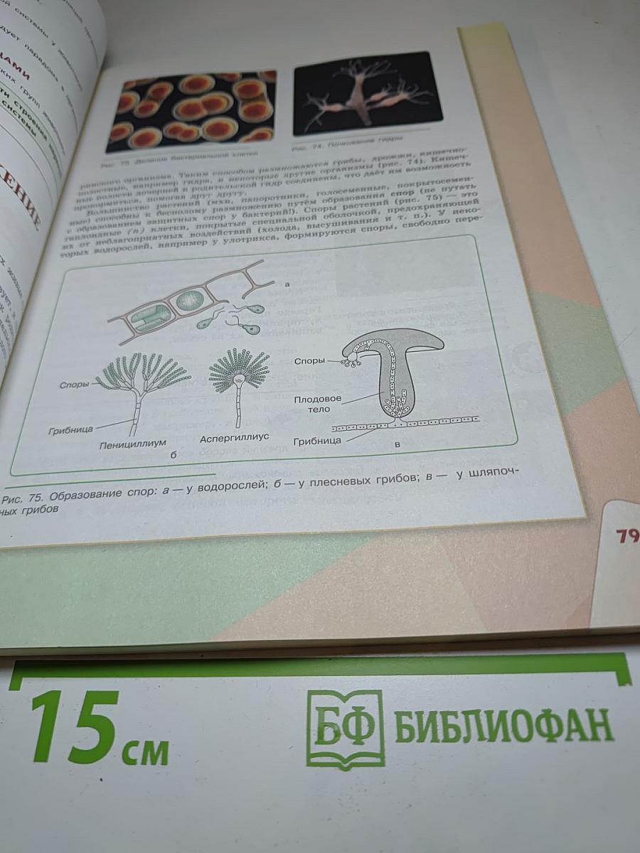 Биология 9 класс